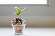 plant in pennies - small business grants